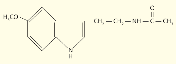 Рис. 1. Структурная формула мелатонина (изображение: «Природа»)